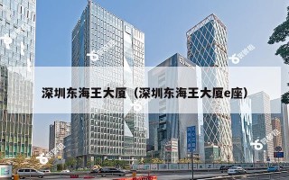 深圳东海王大厦（深圳东海王大厦e座）