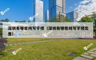 深圳有哪些纯写字楼（深圳有哪些纯写字楼出售）