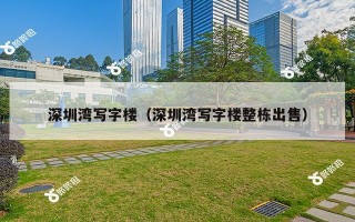 深圳湾写字楼（深圳湾写字楼整栋出售）