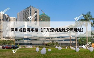 深圳龙胜写字楼（广东深圳龙胜公司地址）