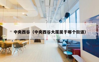 中央西谷（中央西谷大厦属于哪个街道）