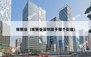 坂银谷（坂银谷深圳属于哪个街道）