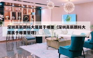 深圳高新朗科大厦属于哪里（深圳高新朗科大厦属于哪里管理）