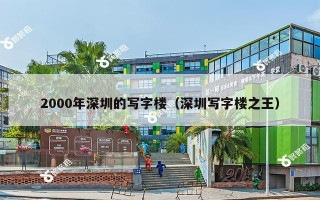 2000年深圳的写字楼（深圳写字楼之王）