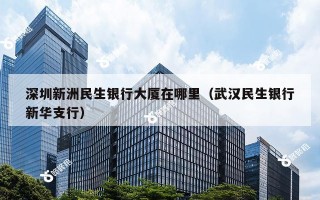 深圳新洲民生银行大厦在哪里（武汉民生银行新华支行）