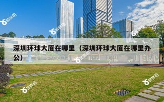 深圳环球大厦在哪里（深圳环球大厦在哪里办公）