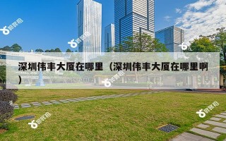 深圳伟丰大厦在哪里（深圳伟丰大厦在哪里啊）