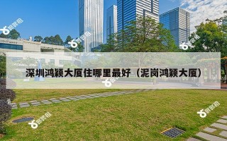深圳鸿颖大厦住哪里最好（泥岗鸿颖大厦）